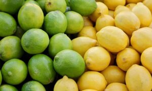 Buah lemon, dengan nama ilmiahnya Citrus limon, adalah salah satu buah yang paling populer dan banyak manfaat digunakan di seluruh dunia Asal-usul